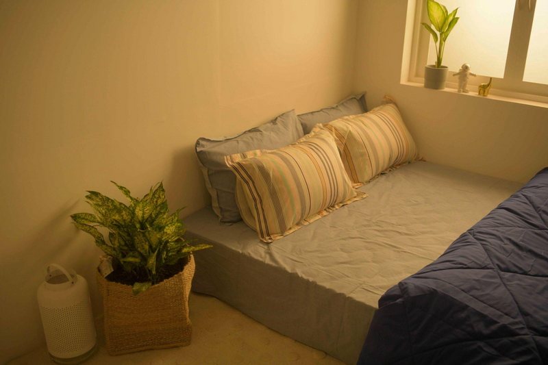 What is a Coir Mattress? Benefits, Drawbacks and Who Should Buy One