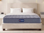 Fitrest Plus Sense SE