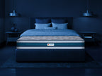 Nexa Plus Luxury SE