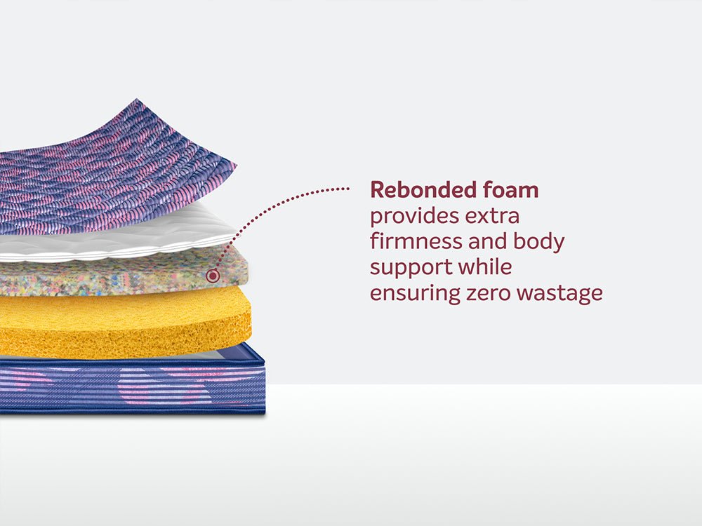 Champ Classic Ortho Mattress