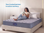 Fitrest Plus Sense SE