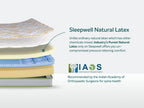 Pro Spinetech Classic Mattress