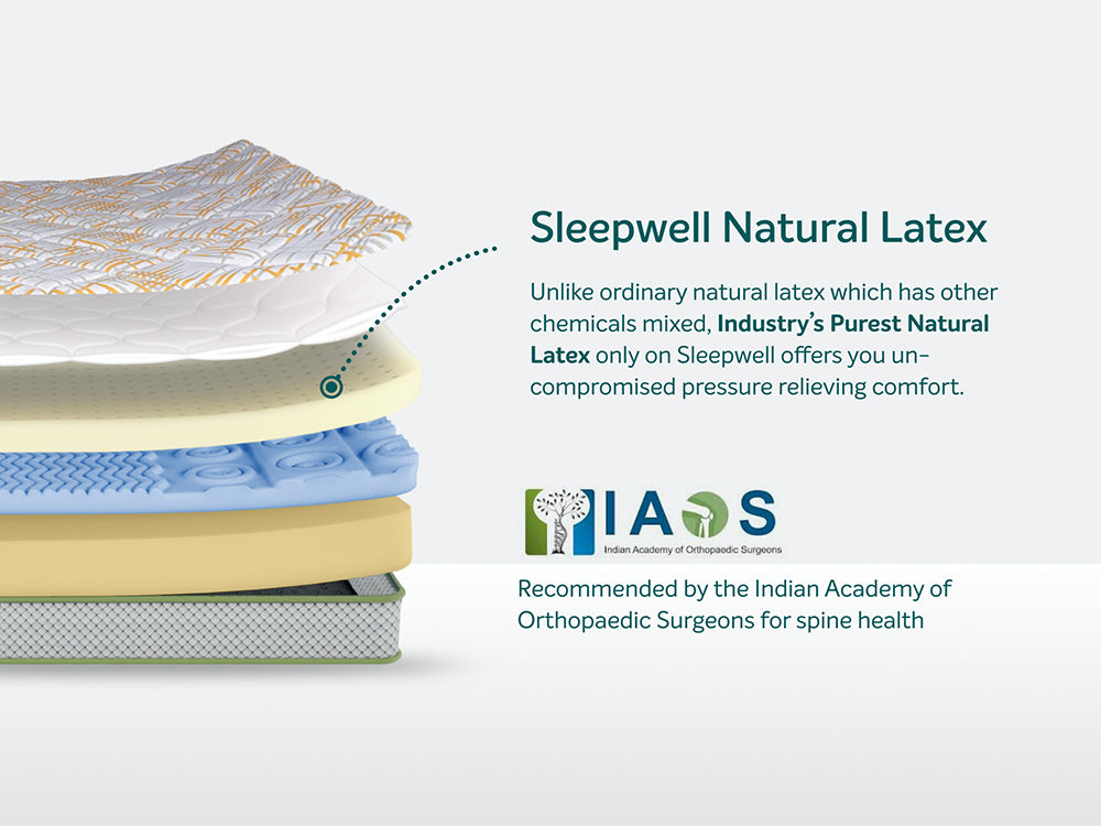 Pro Spinetech Classic Mattress