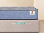 Ortho Pro Latex Mattress