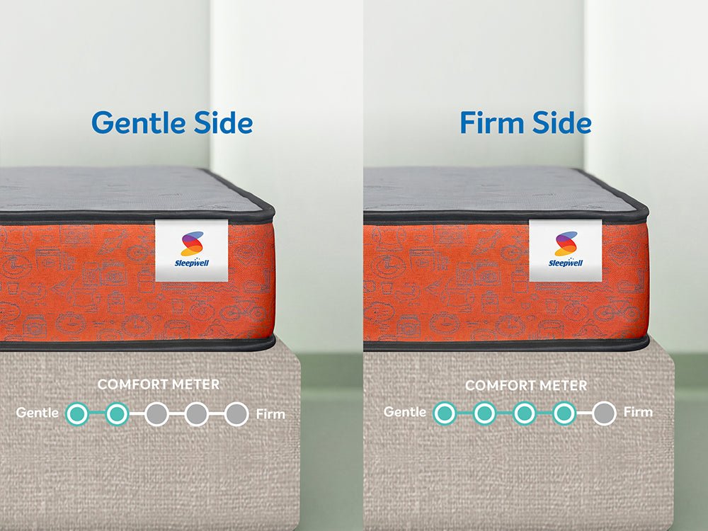Dual Pro Mattress