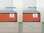Dual Pro Mattress