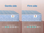 Dual Mattress