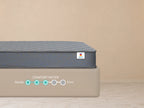 Utsav Comfort Classic (Coir) Mattress
