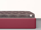 Champ Regular Mattress