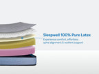 Ortho Pro Latex Mattress