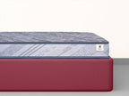 Utsav Comfort Ortho