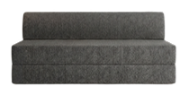 Sofa cum Bed
