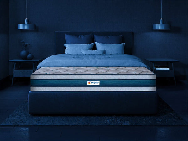 Nexa Plus Luxury