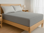 Shield Mattress Protector