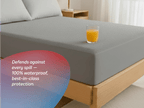 Shield Mattress Protector