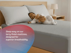 Shield Mattress Protector