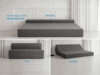 Sofa Cum Bed 3 Seater
