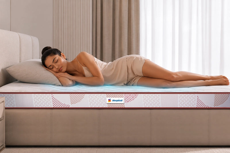  PLUSH COMFORT